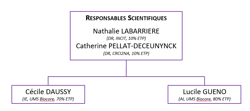 Organigramme PF Cytocell